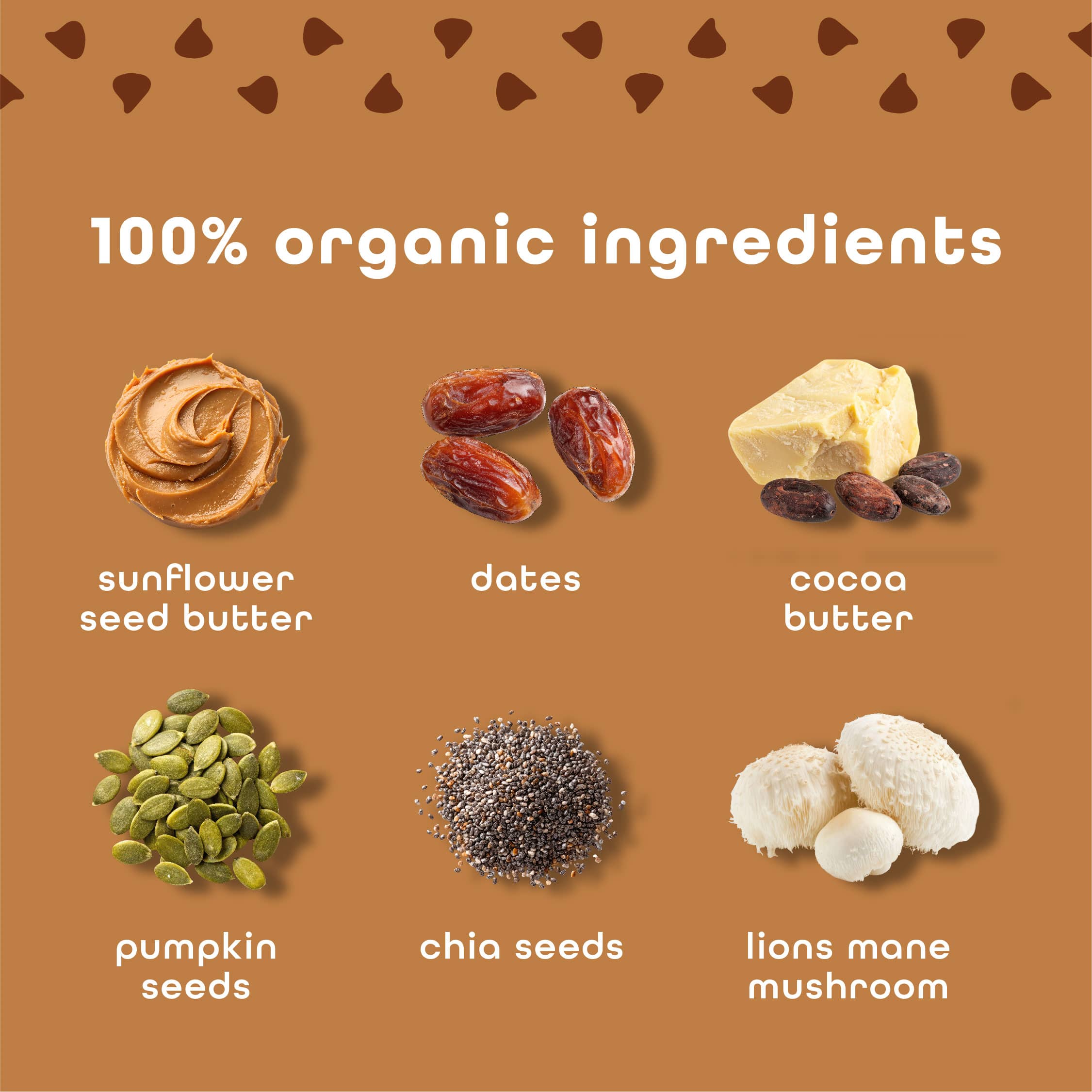 Brownie Chocolate Chip - 10 Pack