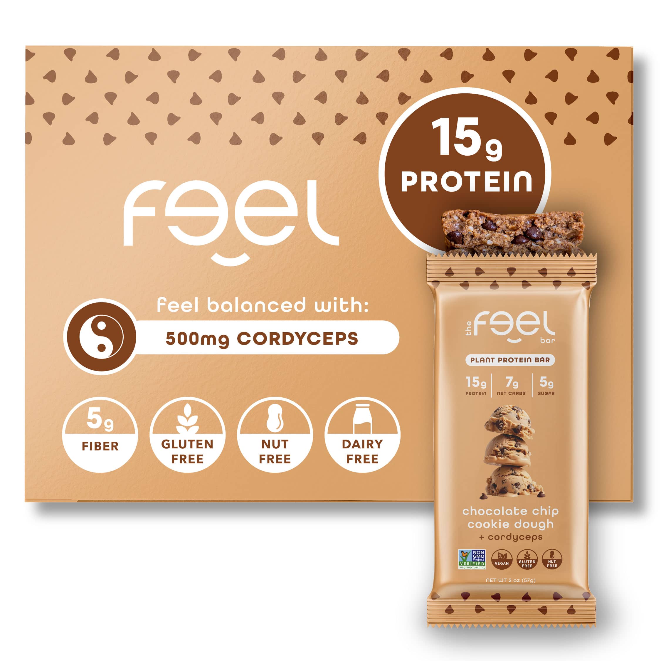 Chocolate Chip Cookie Dough - 10 Pack