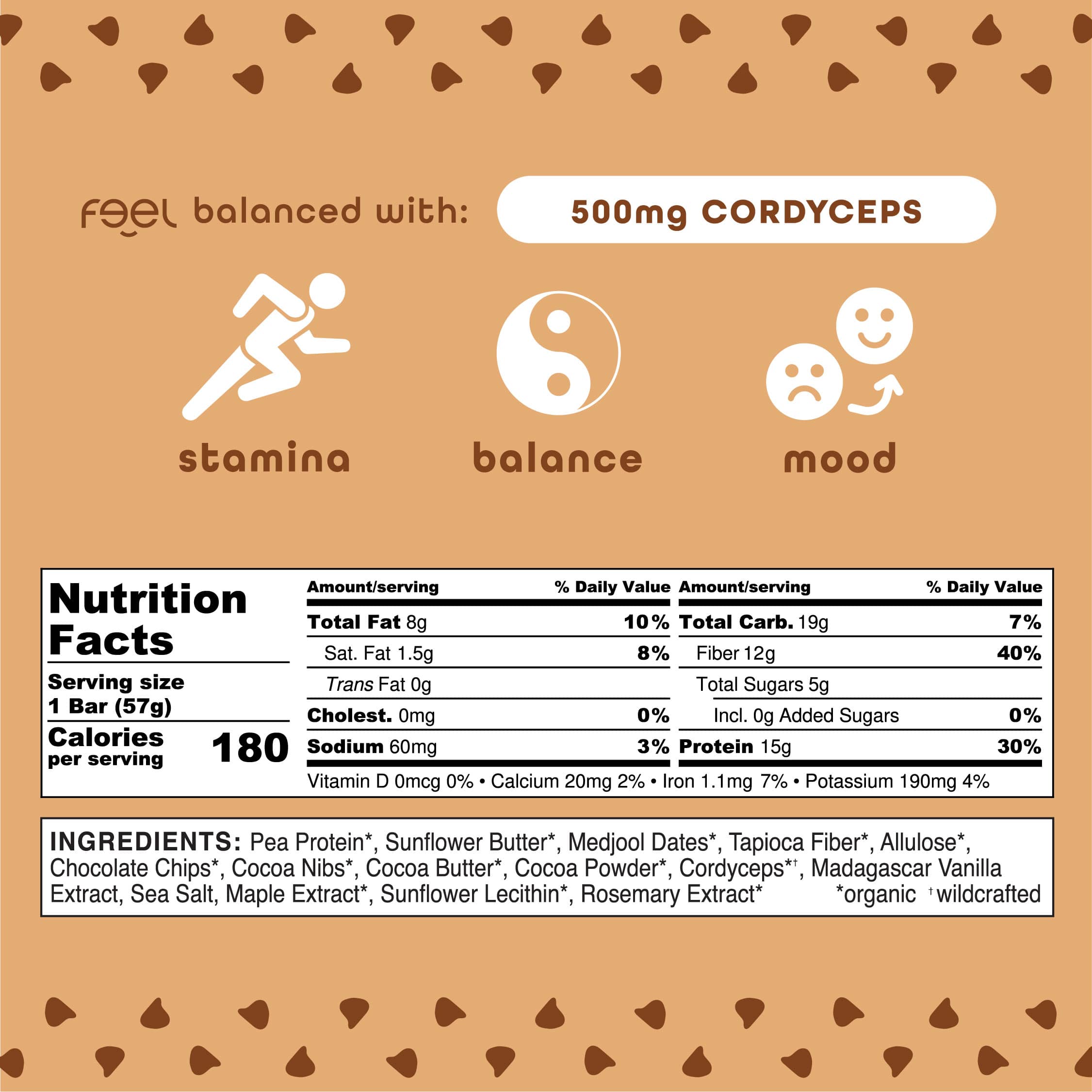 Chocolate Chip Cookie Dough - 10 Pack