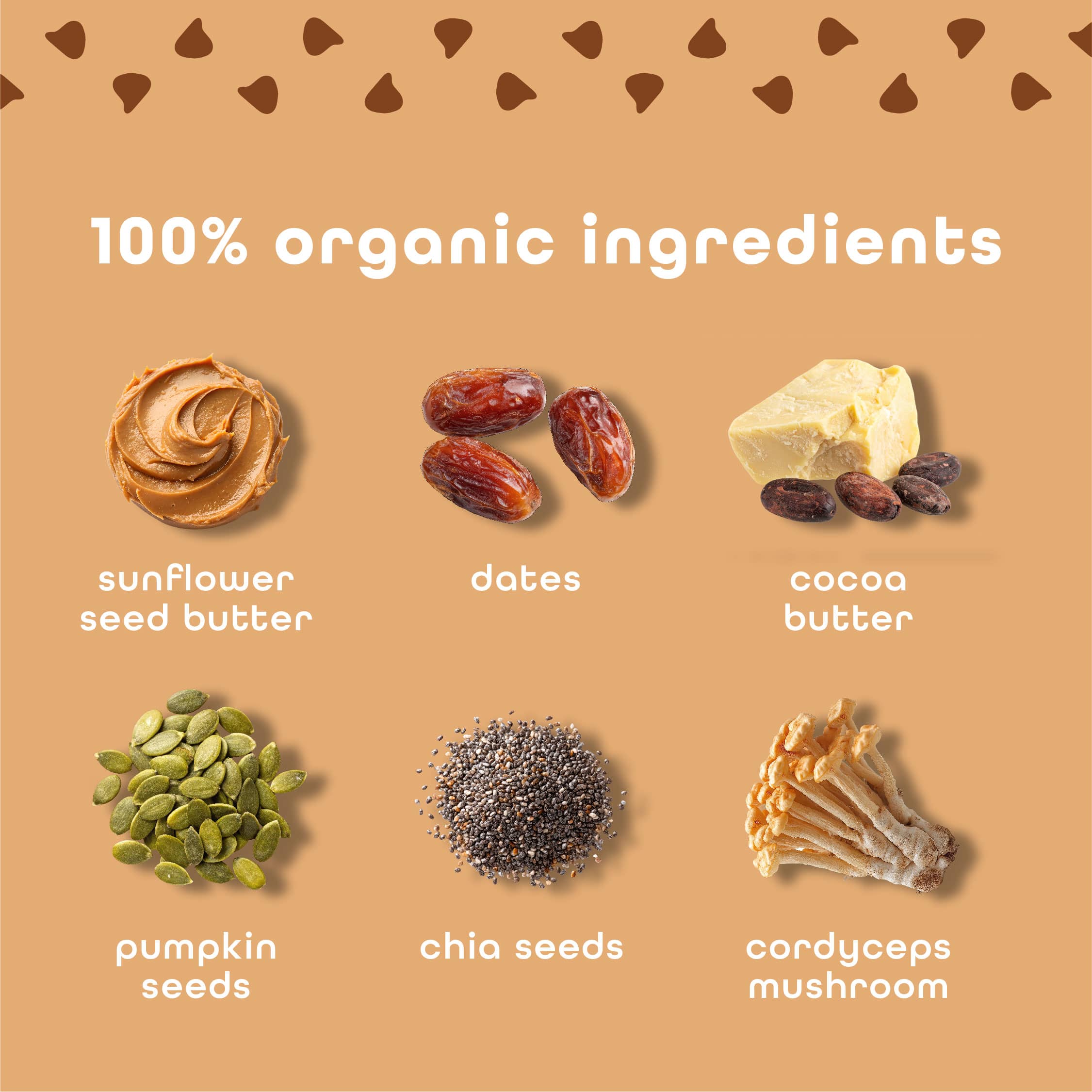 Chocolate Chip Cookie Dough - 10 Pack