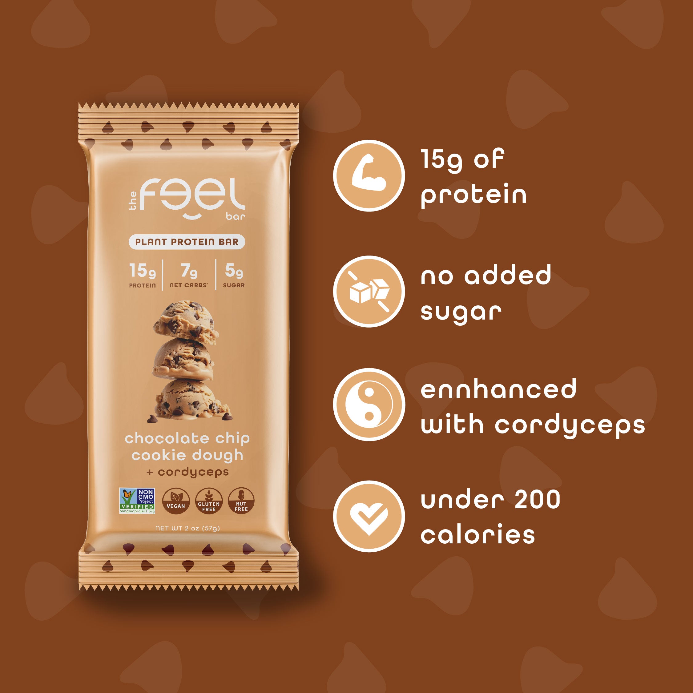 Chocolate Chip Cookie Dough - 10 Pack