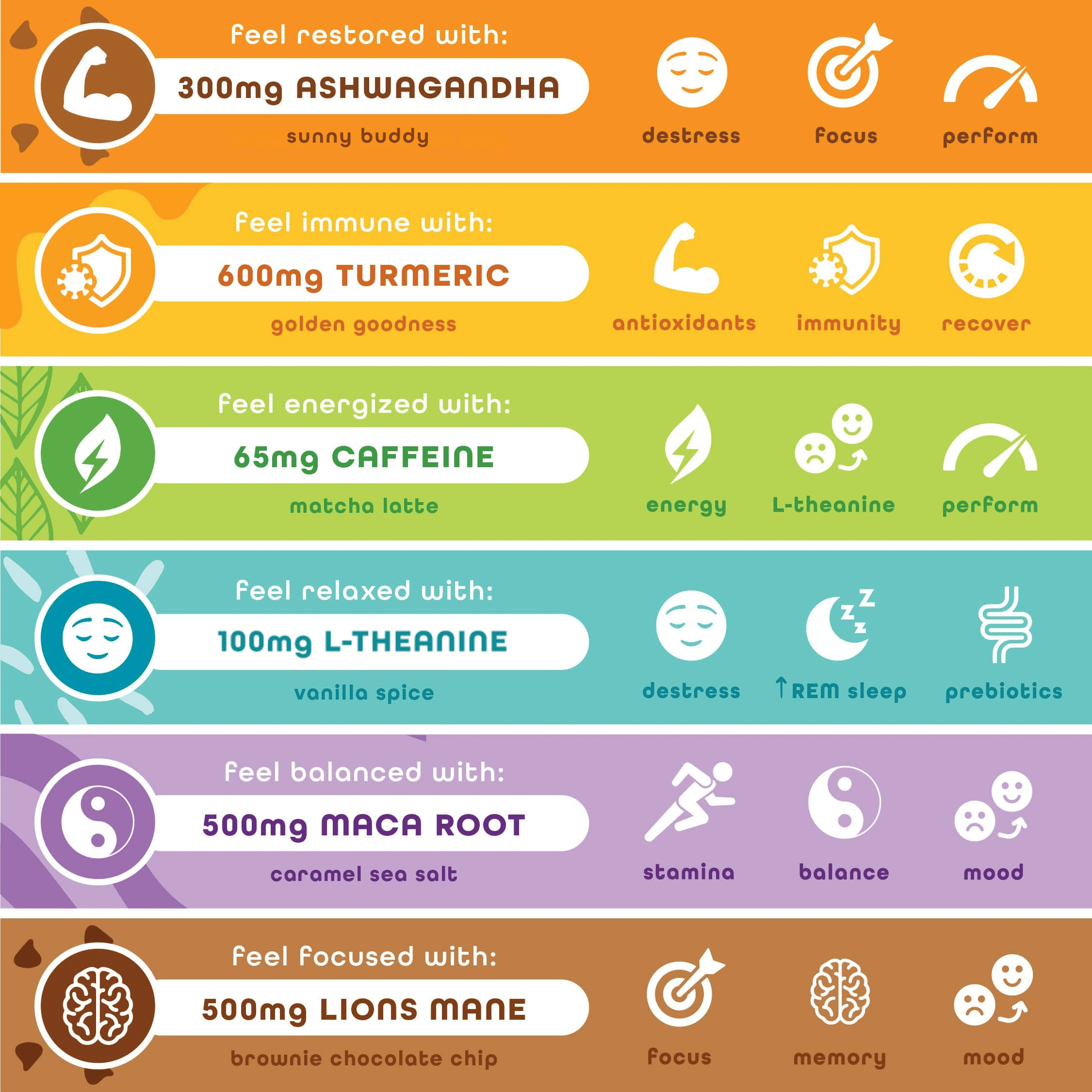 Best Sellers Variety – 6 Pack