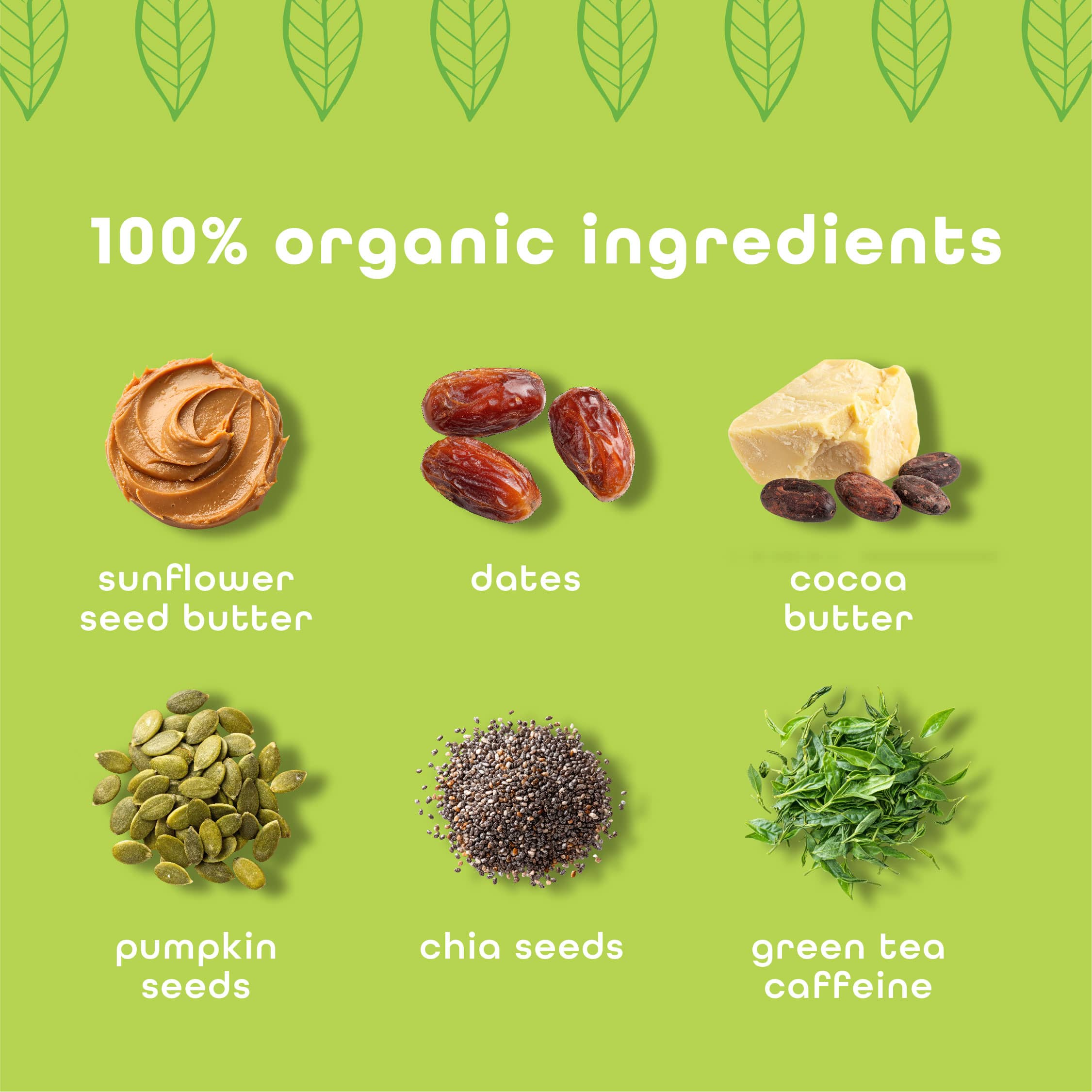 Matcha Latte (Caffeinated) - 10 Pack