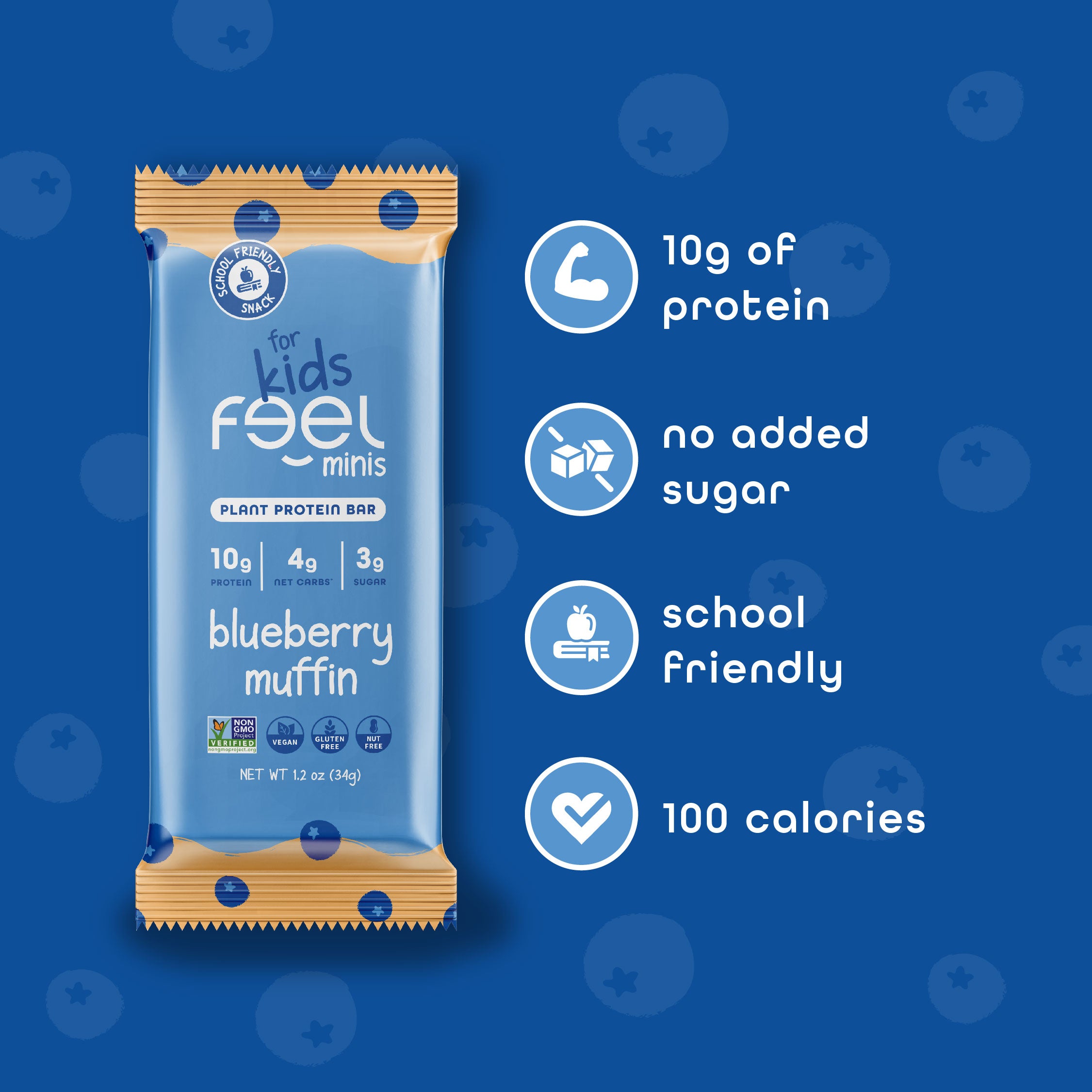 Blueberry Muffin - 12 Pack