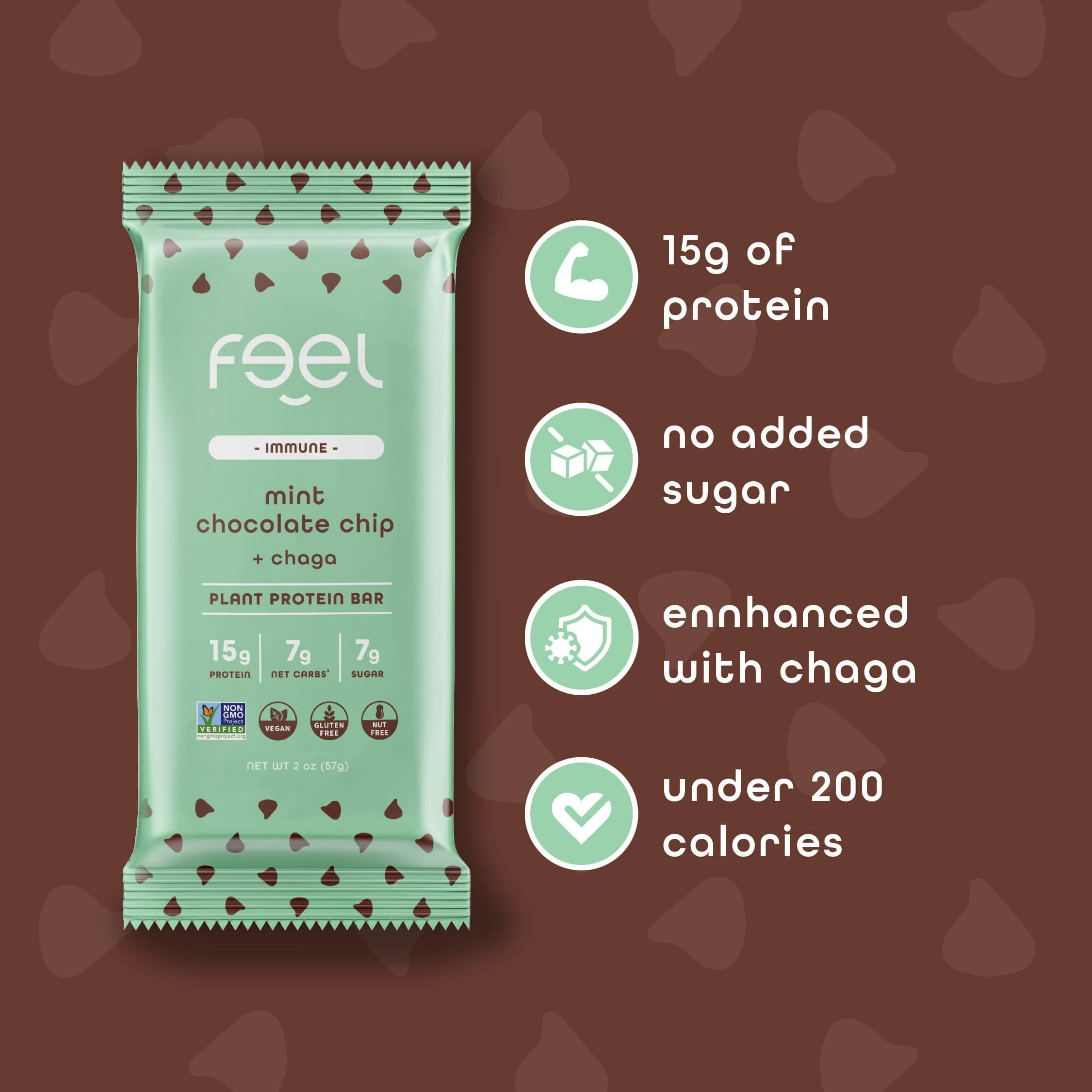 Mint Chocolate Chip - 10 Pack