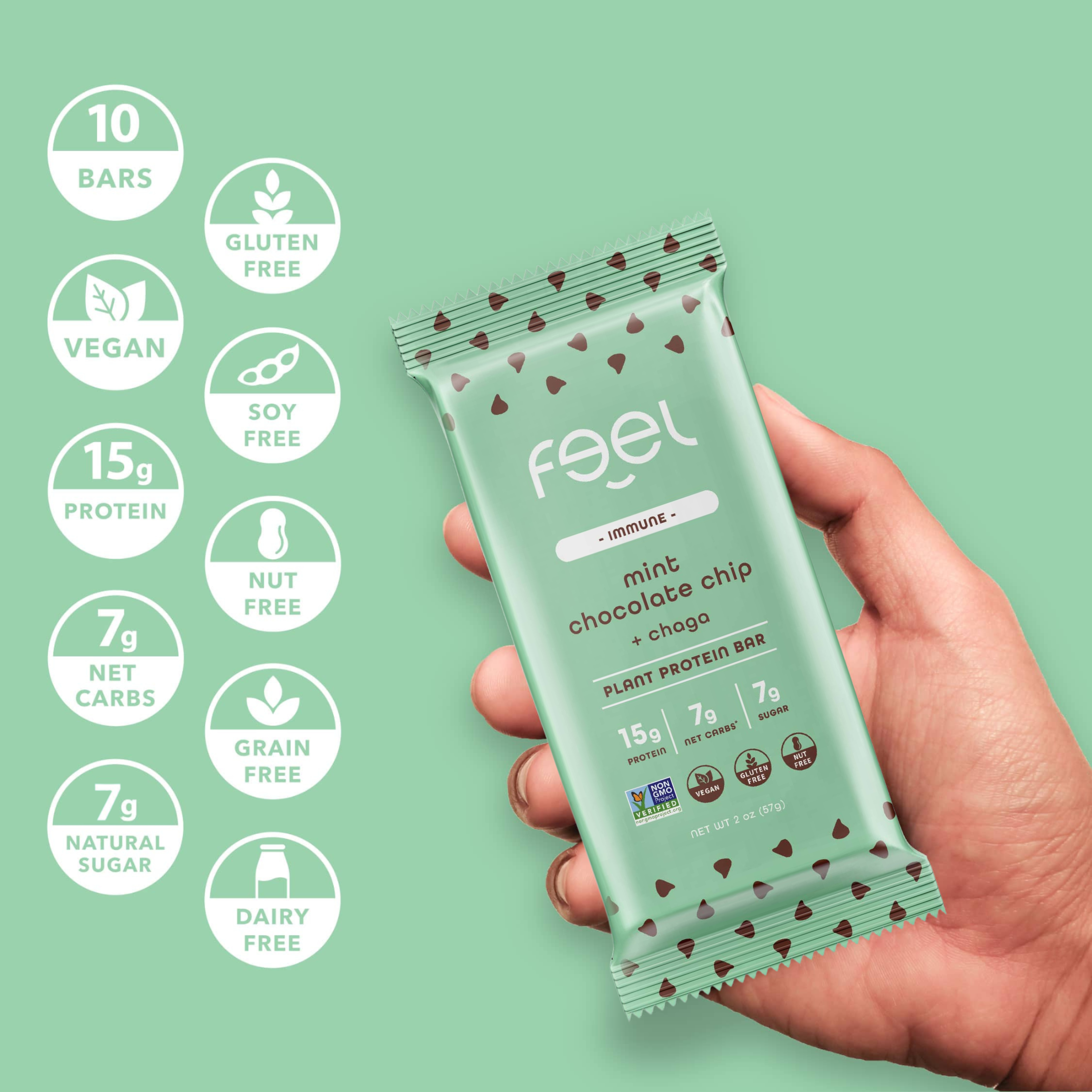 Mint Chocolate Chip - 10 Pack