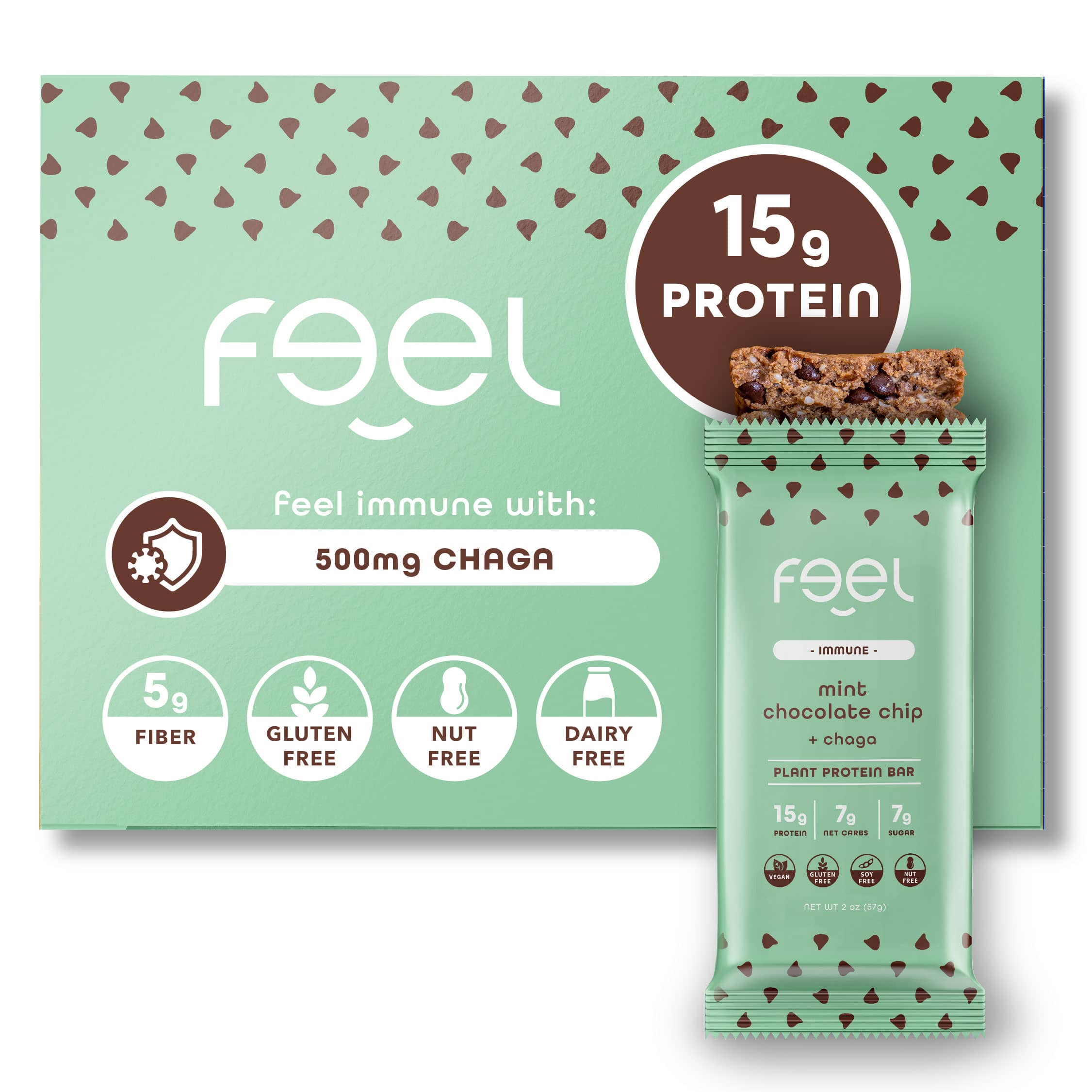 Mint Chocolate Chip - 10 Pack