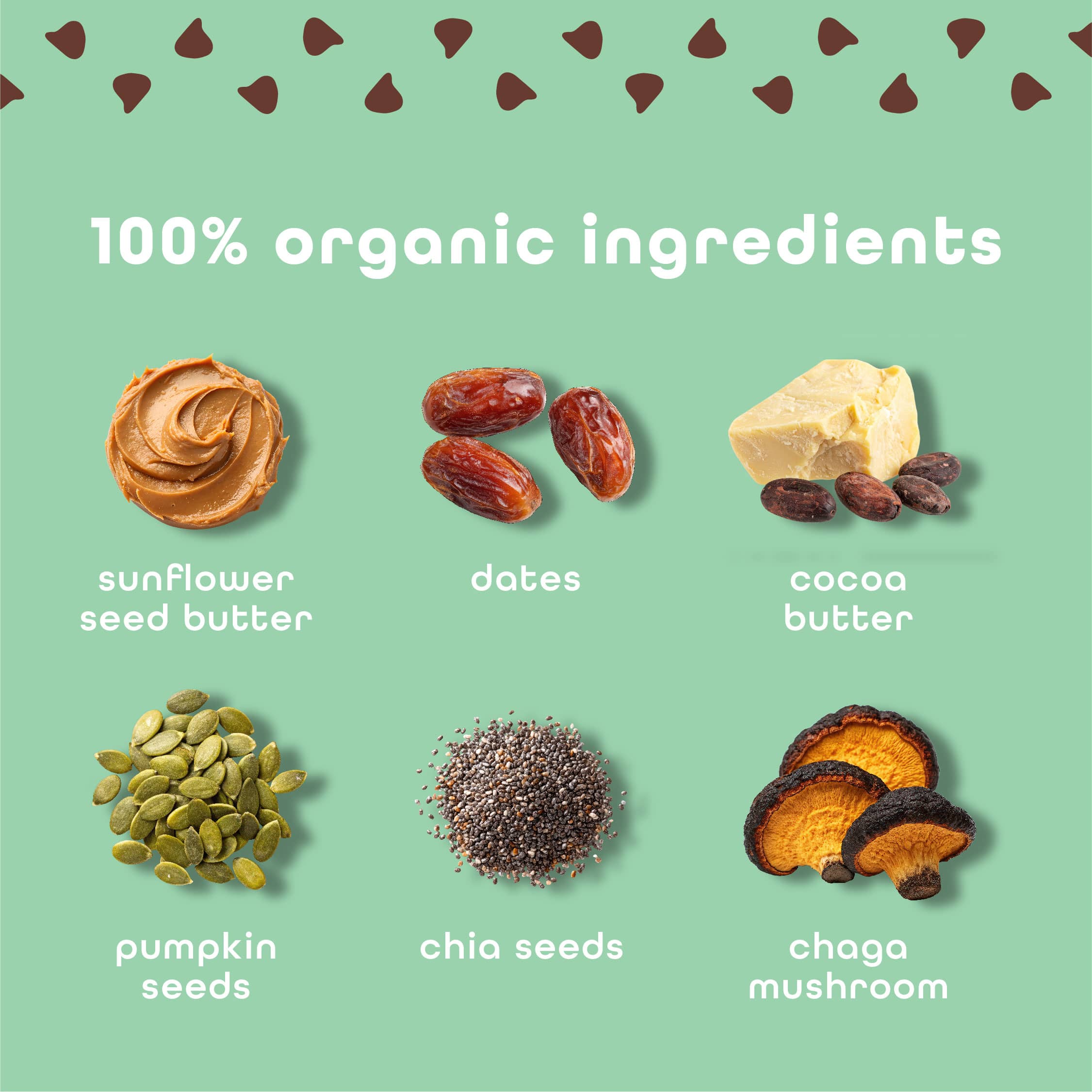 Mint Chocolate Chip - 10 Pack
