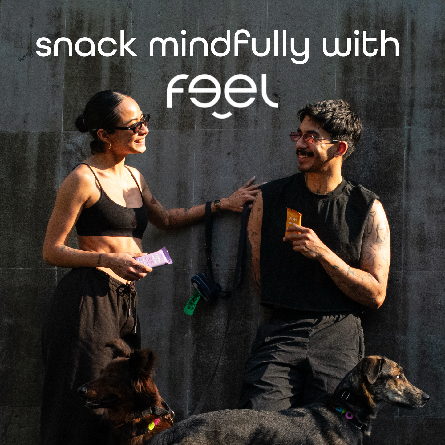 Feel bars Gluten free protein bars