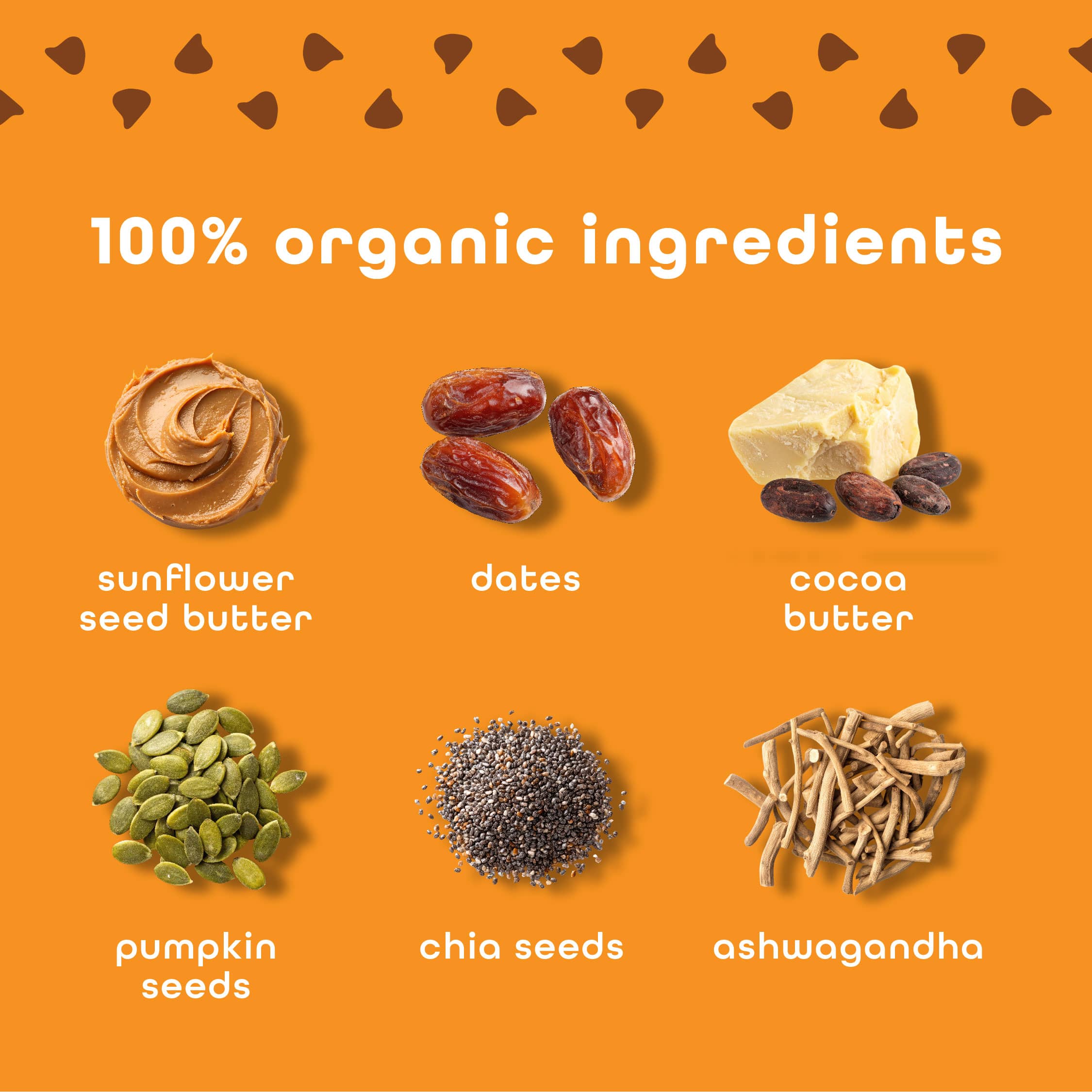 Sunbutta_Ingredient_Highlights