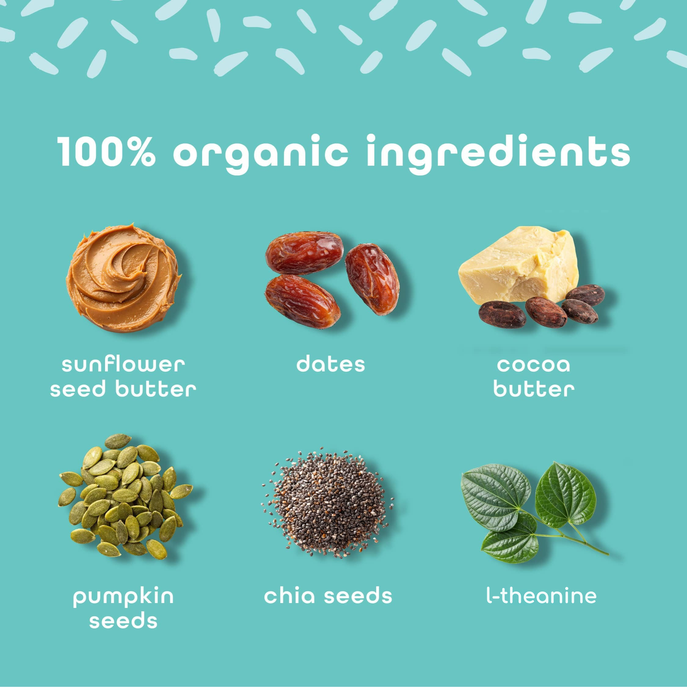 VanillaSpiceingredientsLtheanine