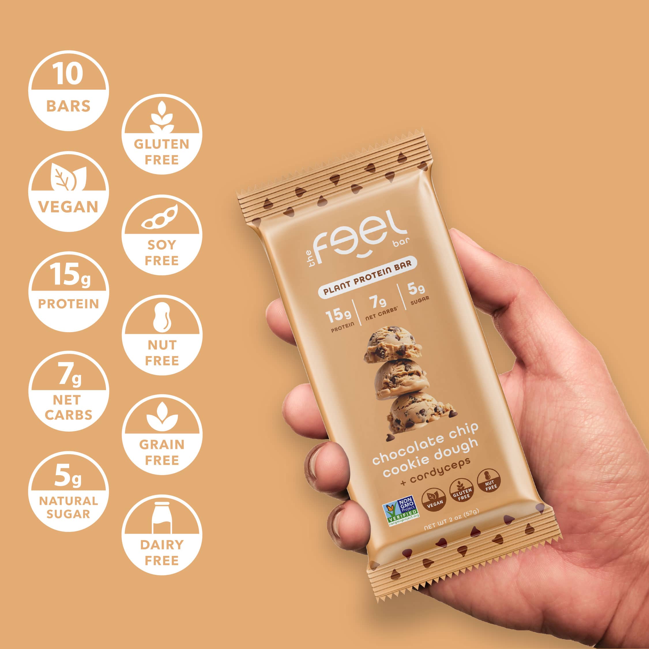 Chocolate Chip Cookie Dough - 10 Pack