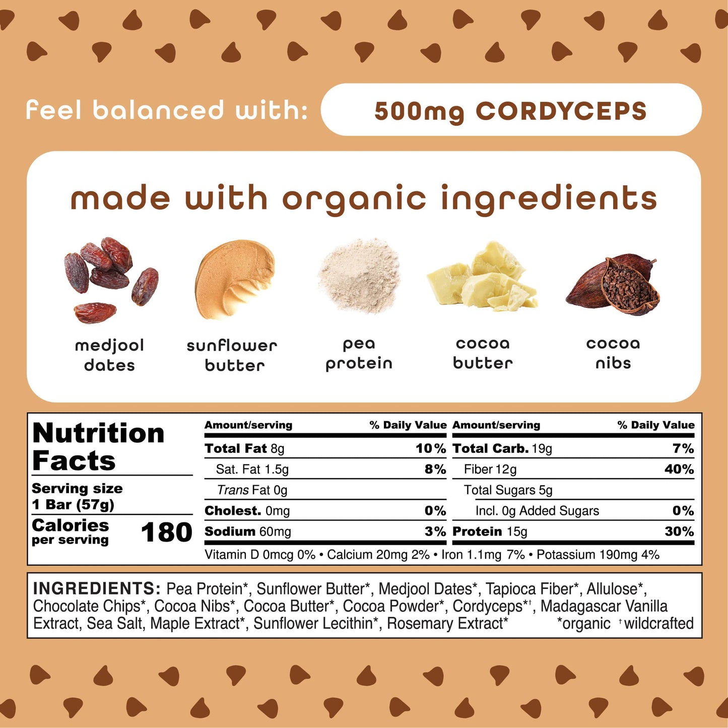 Chocolate Chip Cookie Dough - 10 Pack