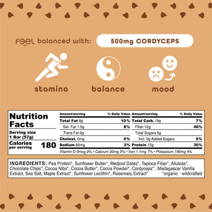 Chocolate Chip Cookie Dough - 10 Pack