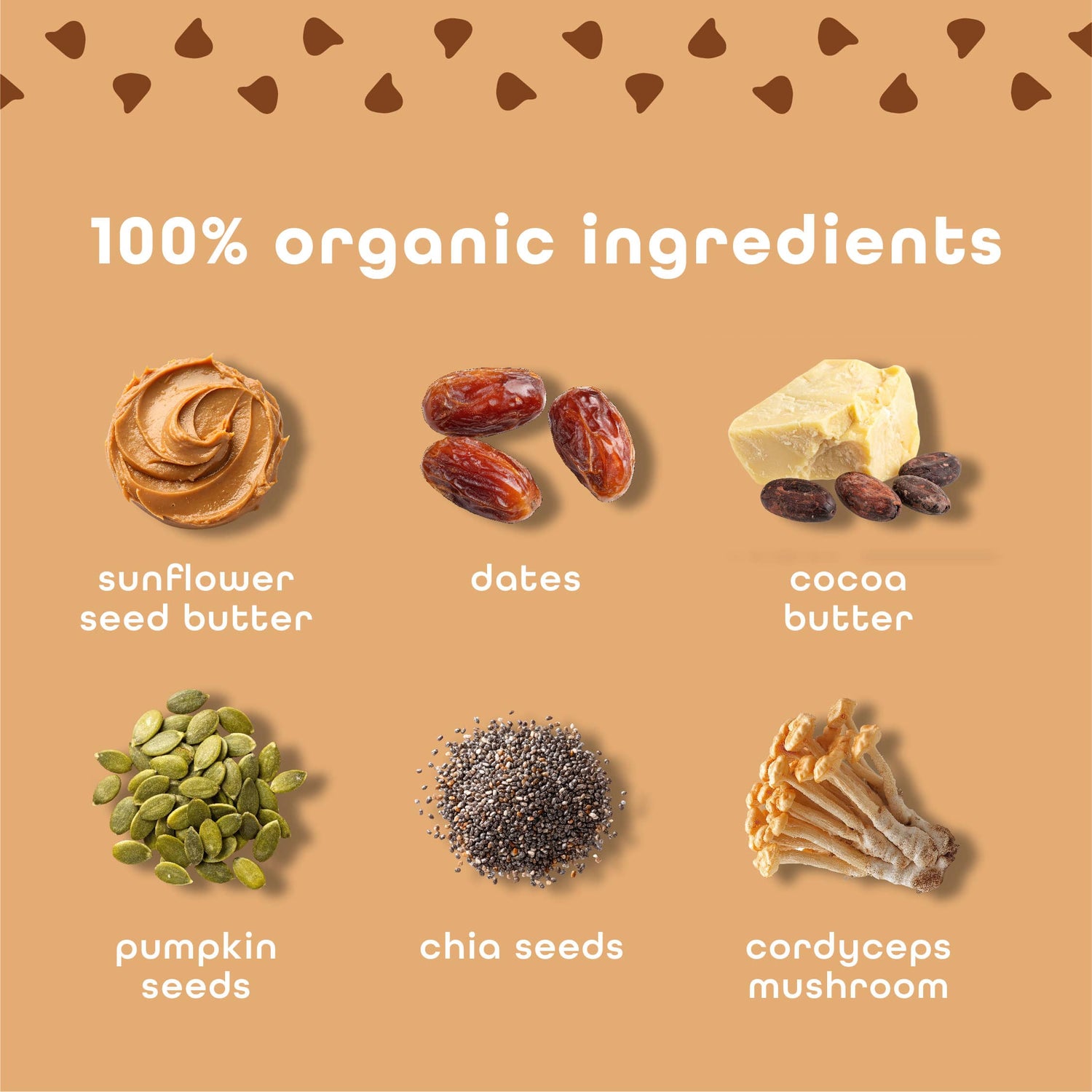 Chocolate Chip Cookie Dough - 10 Pack