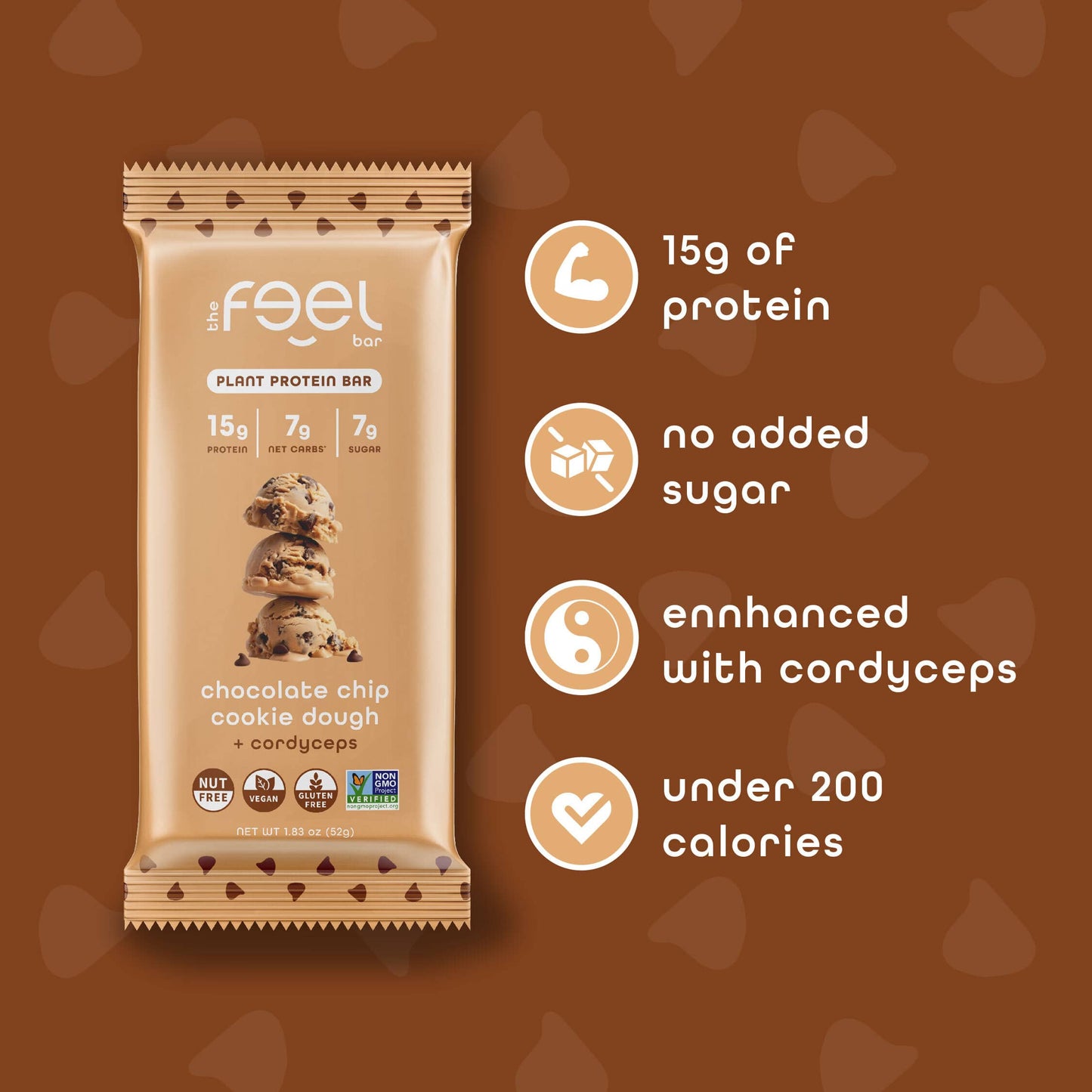 Chocolate Chip Cookie Dough - 10 Pack