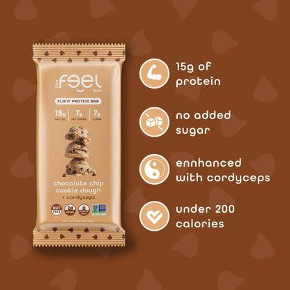 Chocolate Chip Cookie Dough - 10 Pack