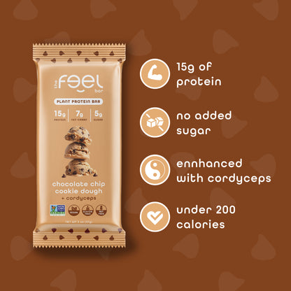 Chocolate Chip Cookie Dough - 10 Pack