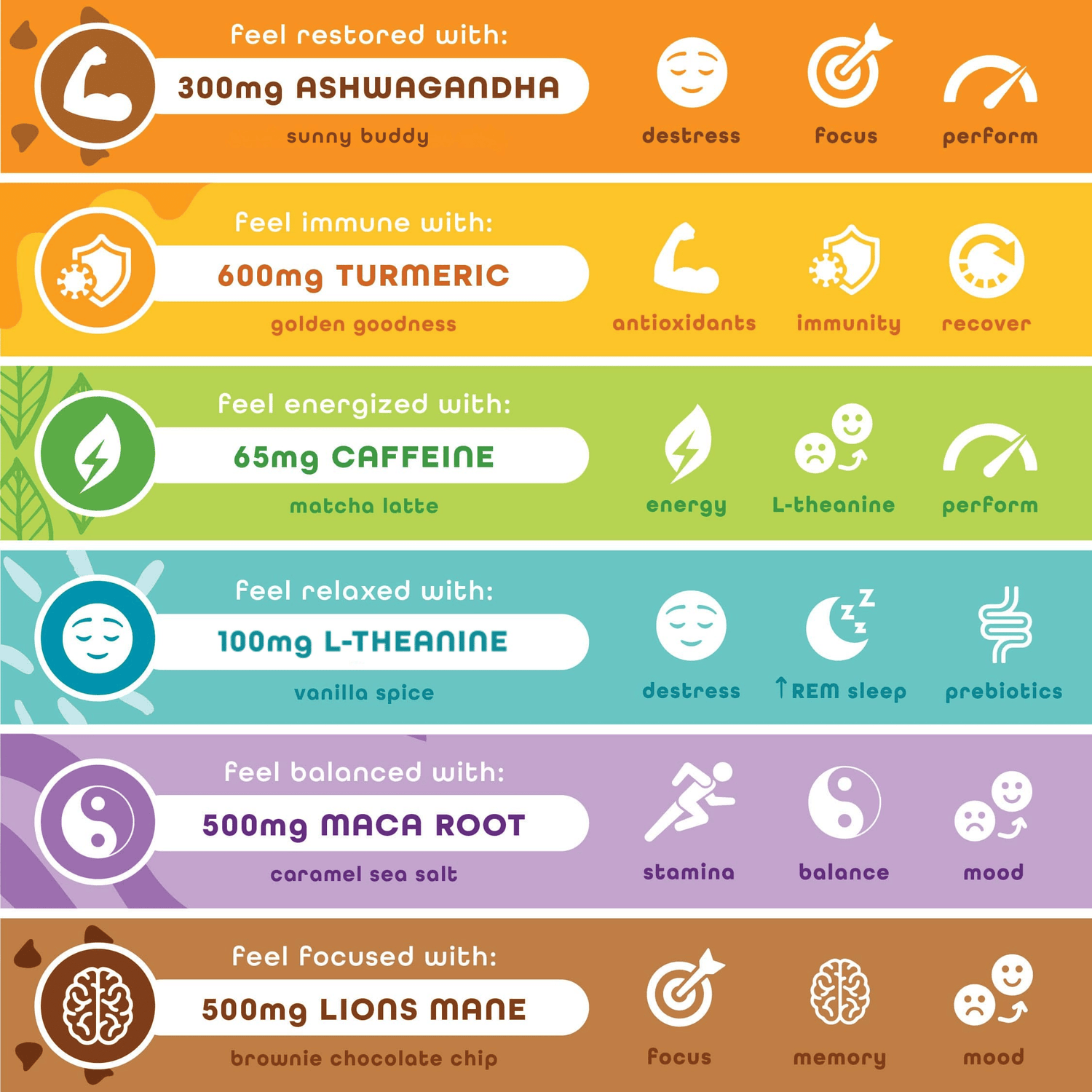 Best Sellers Variety – 6 Pack