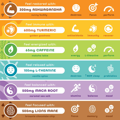 Best Sellers Variety – 6 Pack