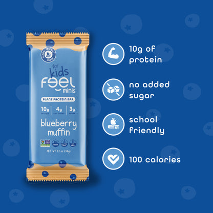 Blueberry Muffin - 12 Pack