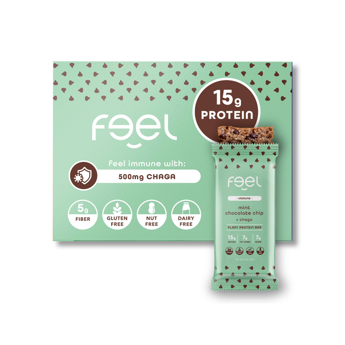Mint Chocolate Chip - 10 Pack