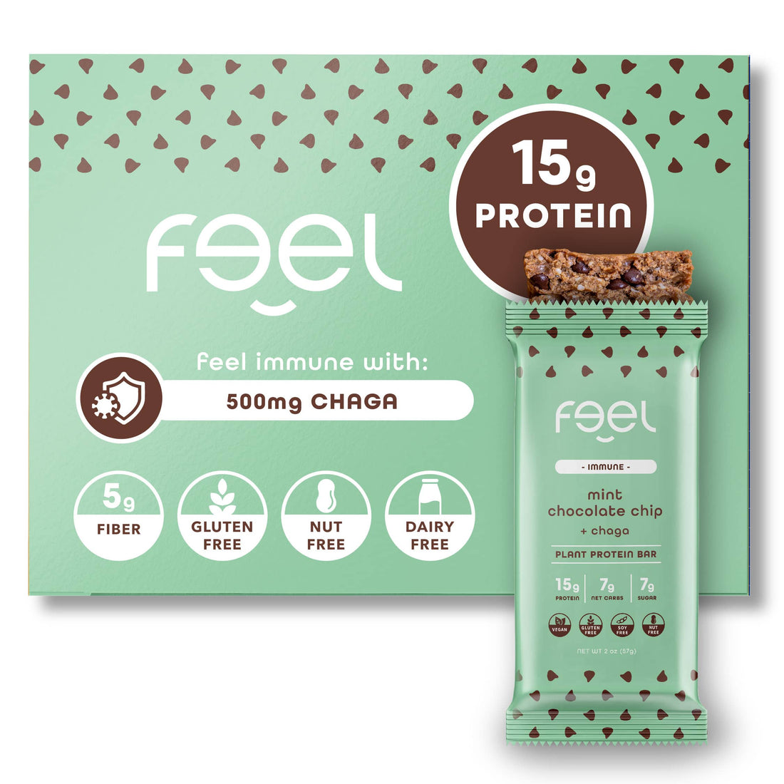 Mint Chocolate Chip - 10 Pack