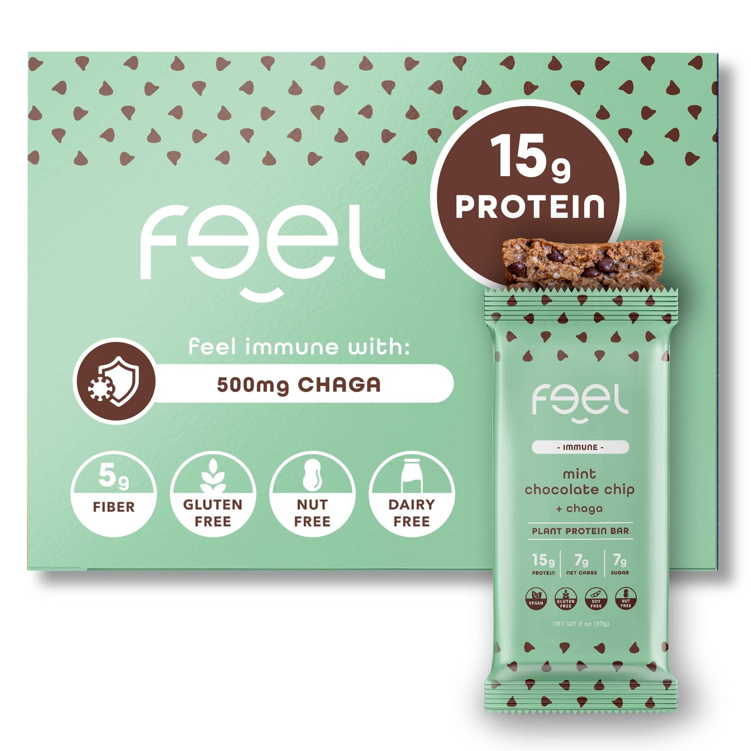 Mint Chocolate Chip - 10 Pack