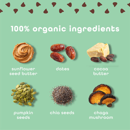 Mint Chocolate Chip - 10 Pack