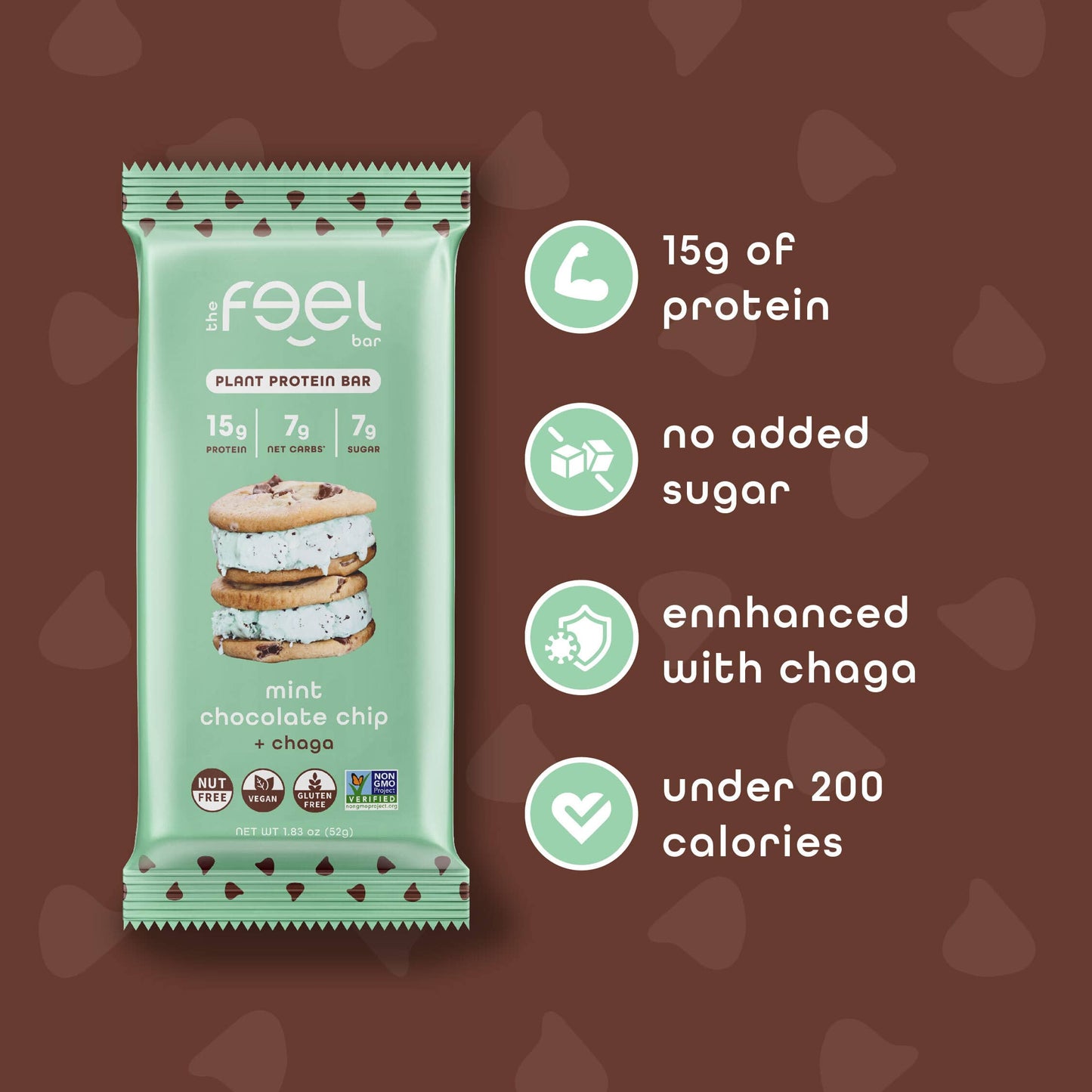 Mint Chocolate Chip - 10 Pack