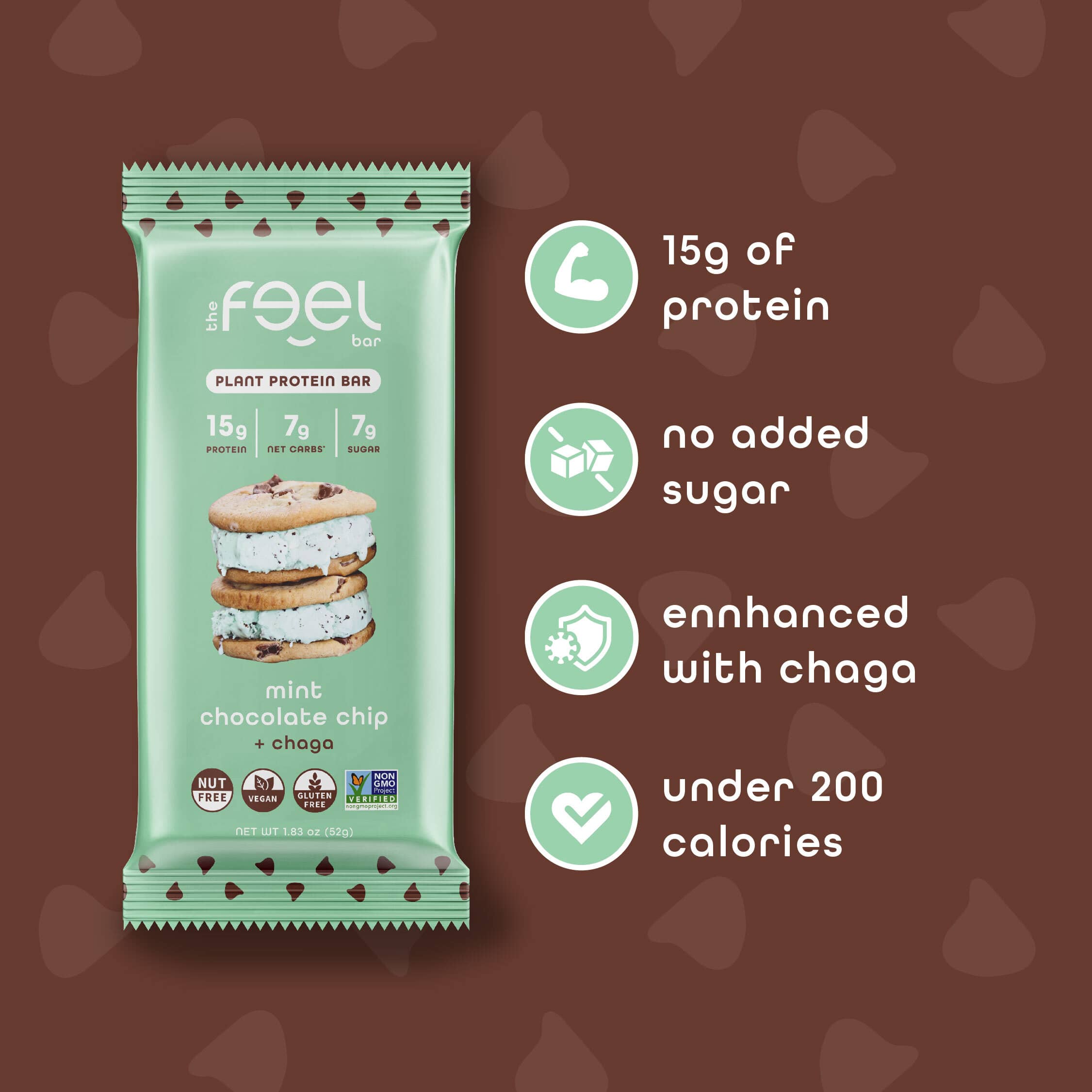 Mint Chocolate Chip - 10 Pack