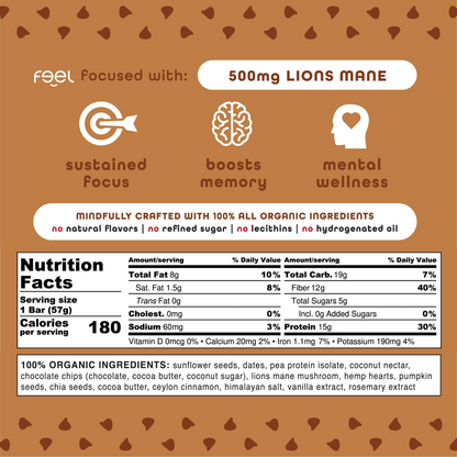 Brownie Chocolate Chip - 10 Pack