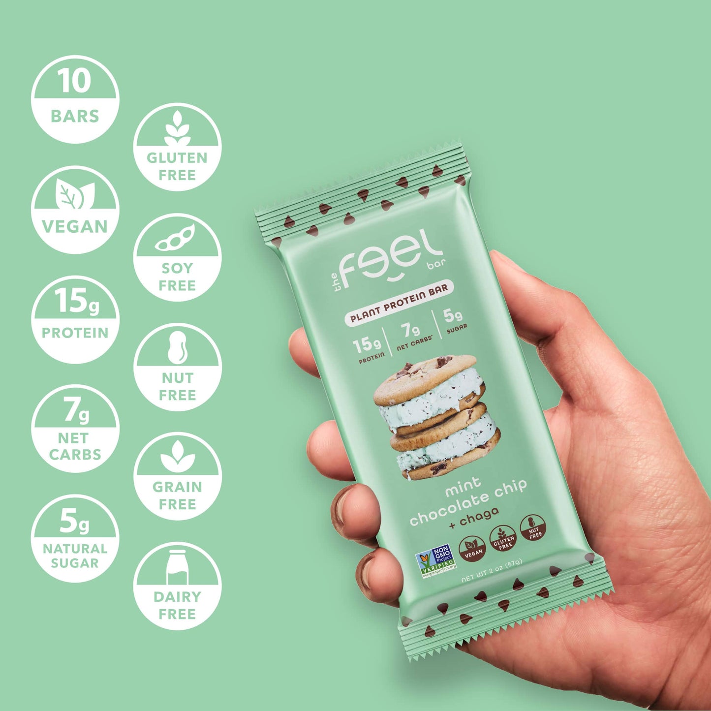 Mint Chocolate Chip - 10 Pack