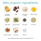 Vanilla Spice - 10 Pack